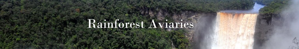 Rainforest Aviaries Title Bar